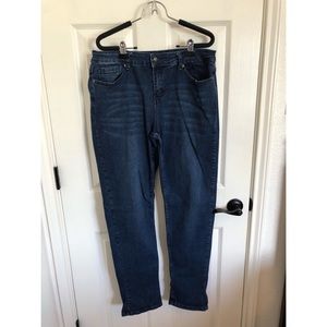 EUC South Main Denim Skinny Jeans